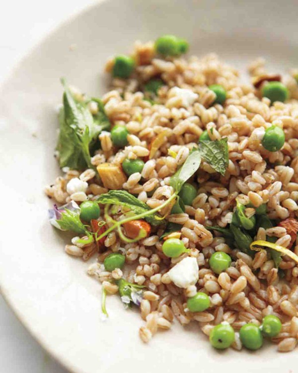 Farro, pea shoot, and goat cheese salad