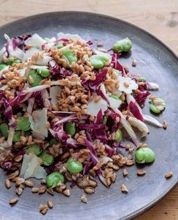 Farro salad with fava beans & radicchio 