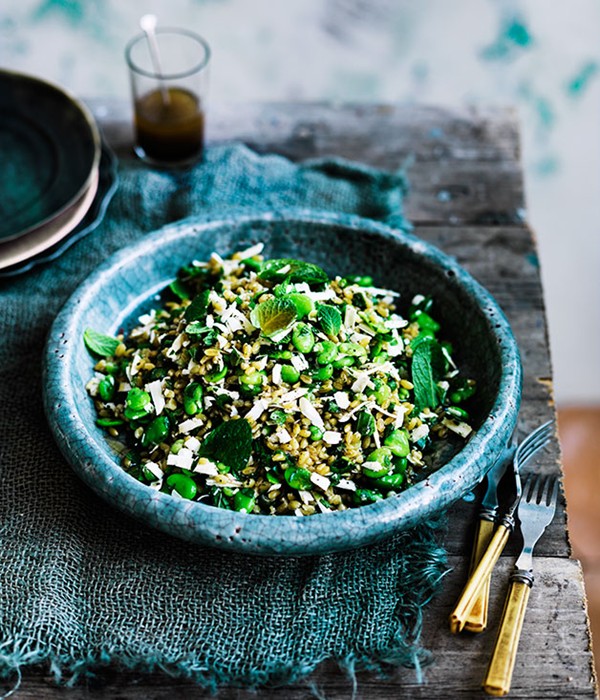 Farro with broad beans, ricotta salata, mint and lovage