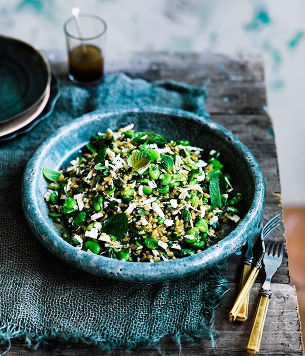 Farro with broad beans, ricotta salata, mint and lovage