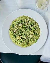 Fava bean and cauliflower risotto