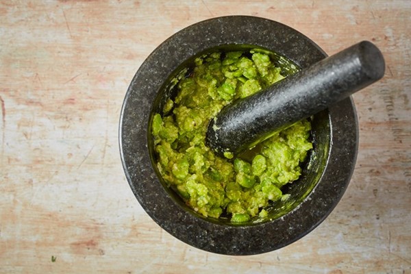Fava bean pesto