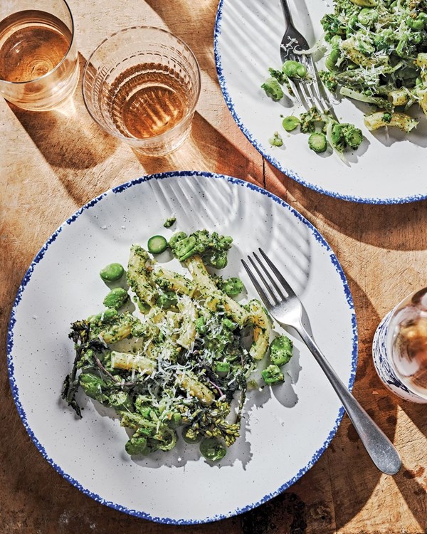Fava bean primavera with spring hazelnut-herb pesto