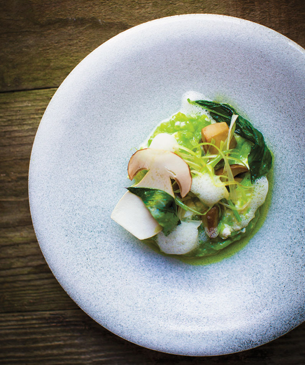 Fava bean risotto