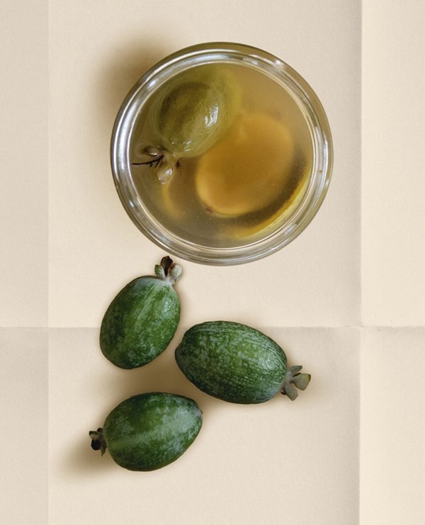 Feijoa-skin shrub