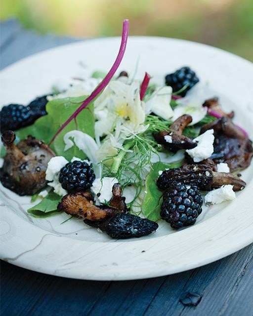 Fennel & mushroom salad