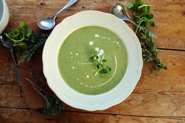 celeriac and watercress soup