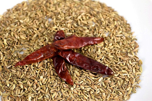 Fennel-chile dry rub