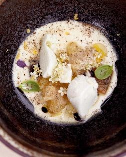 Fennel gazpacho/cucumber/elder-flower