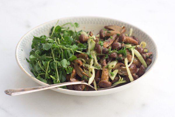 Fennel mushrooms