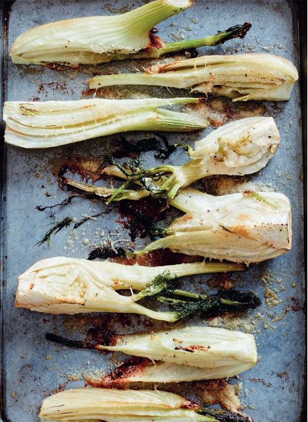 Fennel Parmigiana (Finocchi alla Parmigiana)
