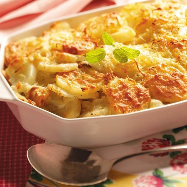 Fennel-potato au gratin