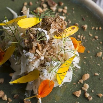 Fennel salad, cottage cheese, and spiced nuts