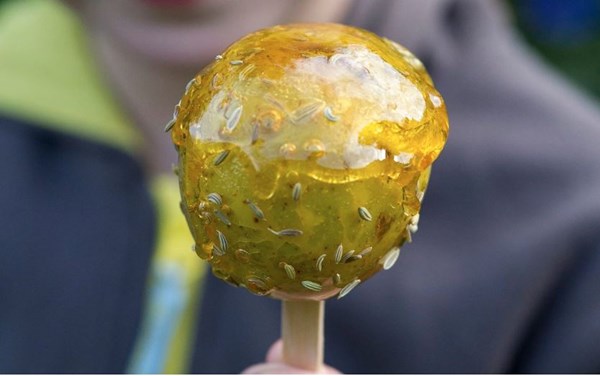 Fennel toffee apples