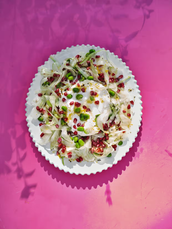 Fennel with burrata and pomegranate