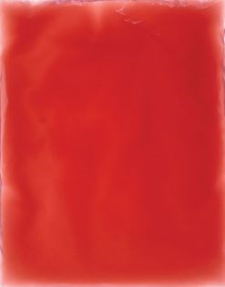 Fermented rhubarb