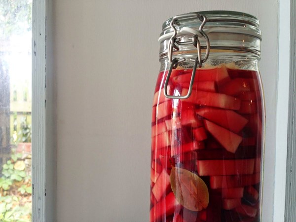 Fermented turnip with bay and beetroot