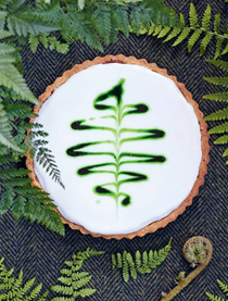 Fern cake