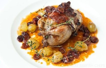 Festive quails