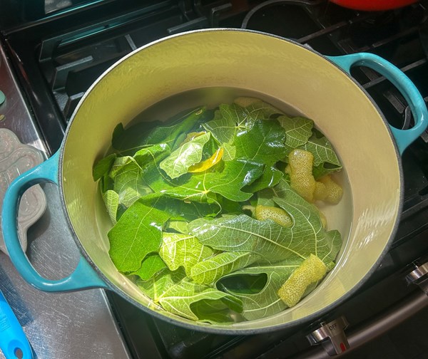 Fig leaf cordial 