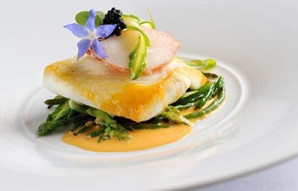 Fillet of brill in lobster sauce