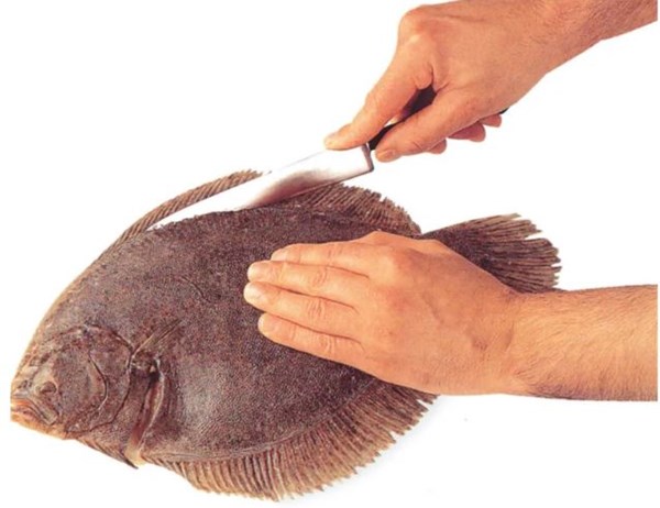 Filleting flat fish