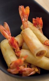 Firecracker shrimp