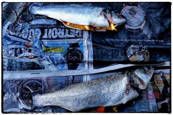 Fish in newspaper