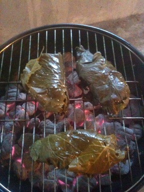 Fish parcels wrapped in grape leaves