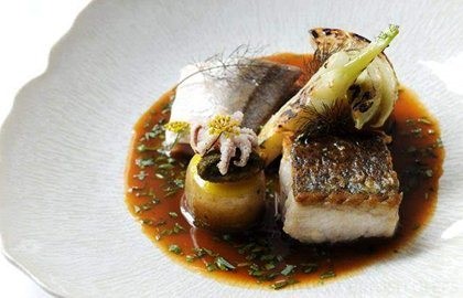 Fish stew with fillets of hake and gurnard