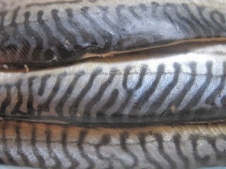 Five-spice “smoked” mackerel (Wǔxiāng xūn qīngyú / 五香薰鯖魚)