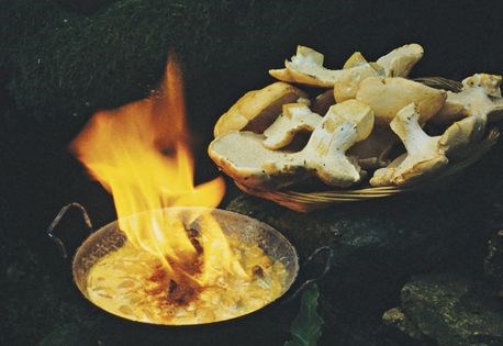 Flaming hedgehogs