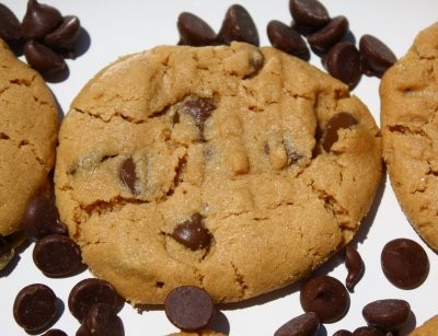 Flourless peanut butter chocolate chip cookies