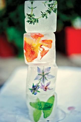 Flower-studded ice cubes