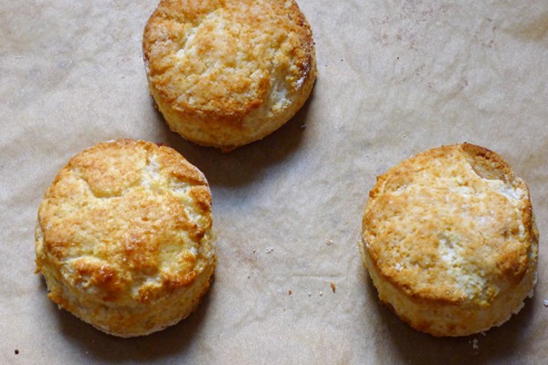 Fluffy buttermilk biscuits