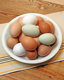 Foolproof hard-cooked eggs