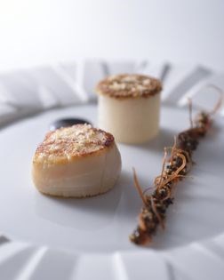 For the caramelized scallop stock [for Scallop recipe]