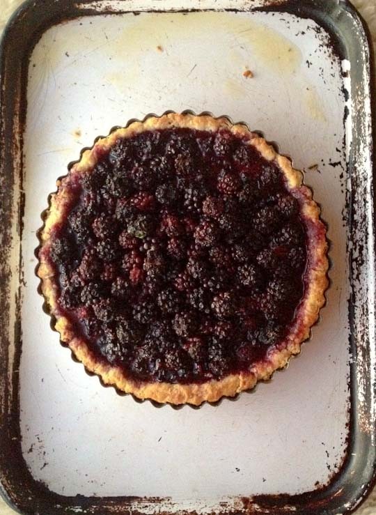 Foraged berry tart