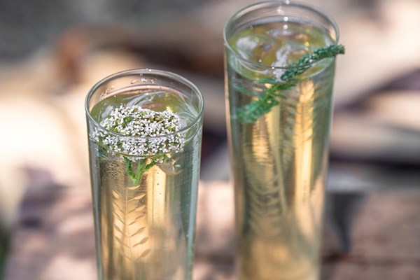 Foraged tonic water