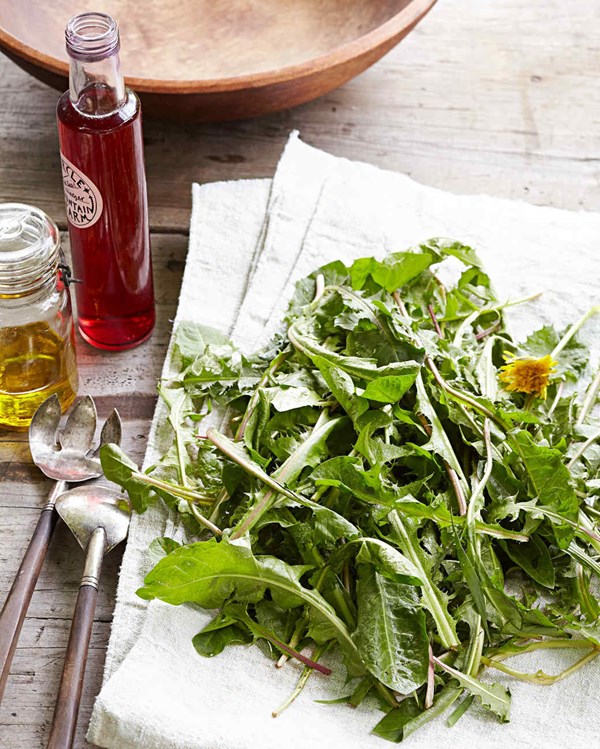Forager's salad
