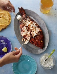 Four chile snapper