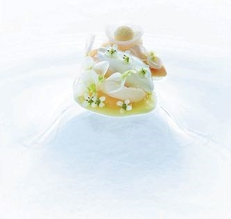 Fragrant poached chicken, salted daikon, smoked eggplant cream, sashimi sea scallops, ginger-scented milk curd, virgin black sesame