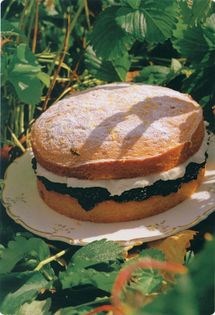 Fresh blackberry & lemon sponge