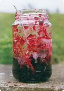 Fresh blackcurrant jelly