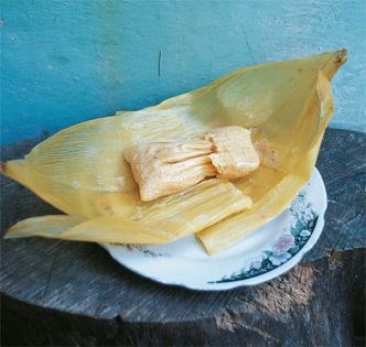 Fresh corn tamales (Tamal en hoja)