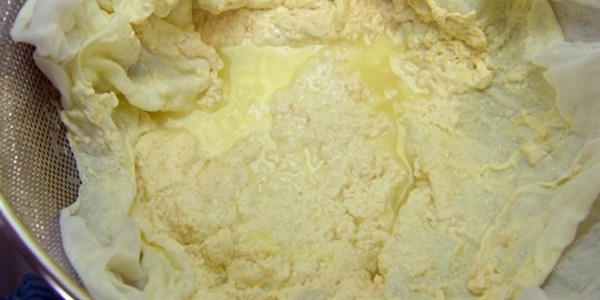 Fresh curd cheese