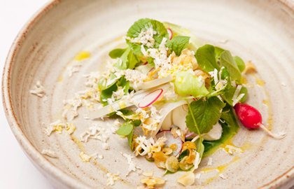 Fresh curds and watercress, pickled kohlrabi, tantan lettuce and cobnuts