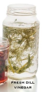 Fresh dill vinegar