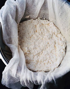 Fresh homemade ricotta