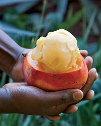 Fresh mango sorbet